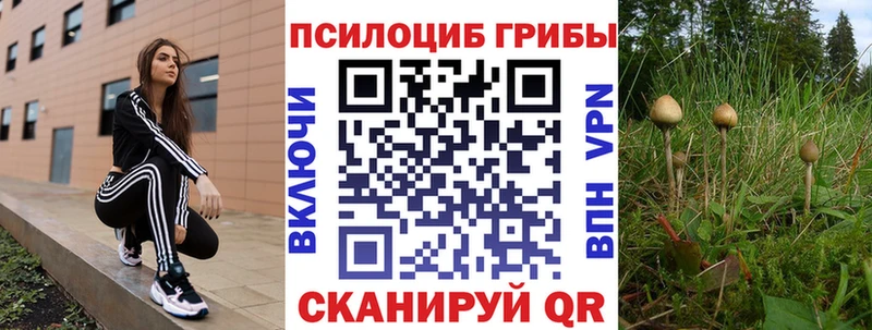 Галлюциногенные грибы мицелий  OMG как зайти  Алексеевка 